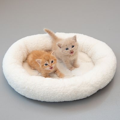Kuschelbett Fluffy 2in1