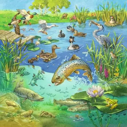 Kinderpuzzle ab 5 Jahren - Tiere in ihren Lebensräumen - 49 Teile