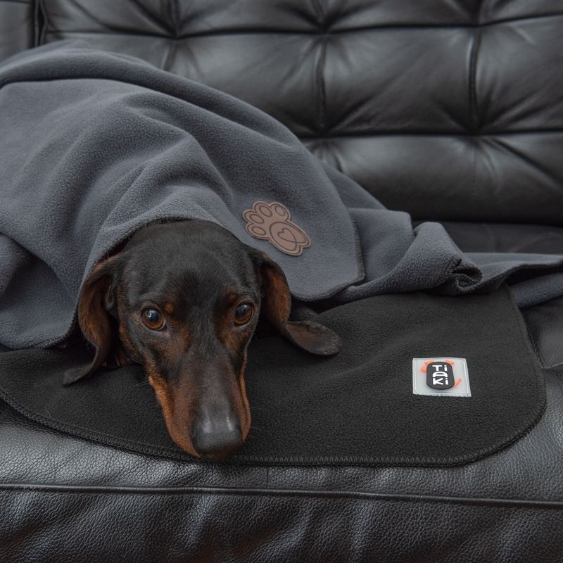 TIAKI Hundedecke Nelly zu TOP-Preisen