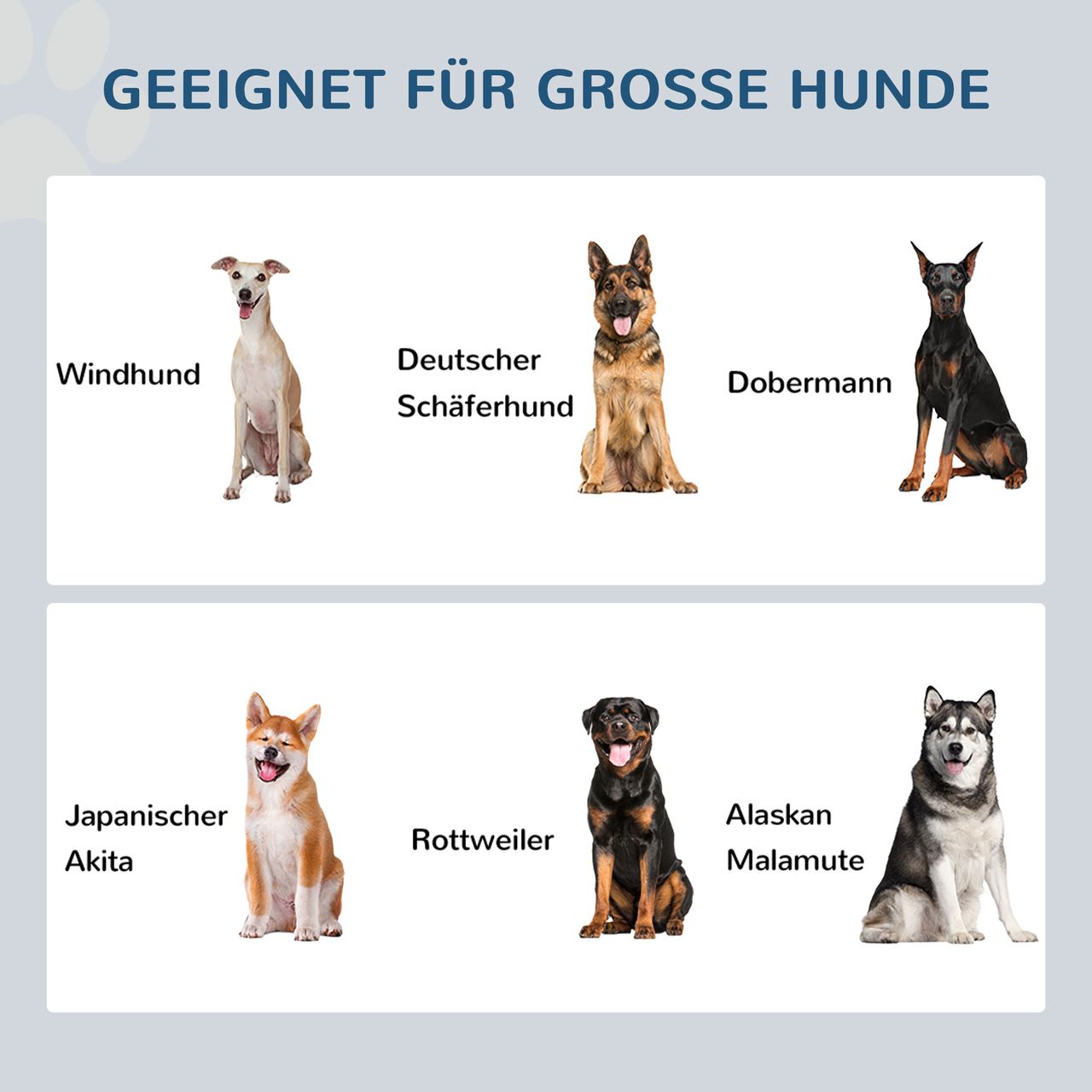 PawHut Erhöhter Hundenapf, Edelstahlnapf, Futternapf mit erhöhtem Rand, Weiß