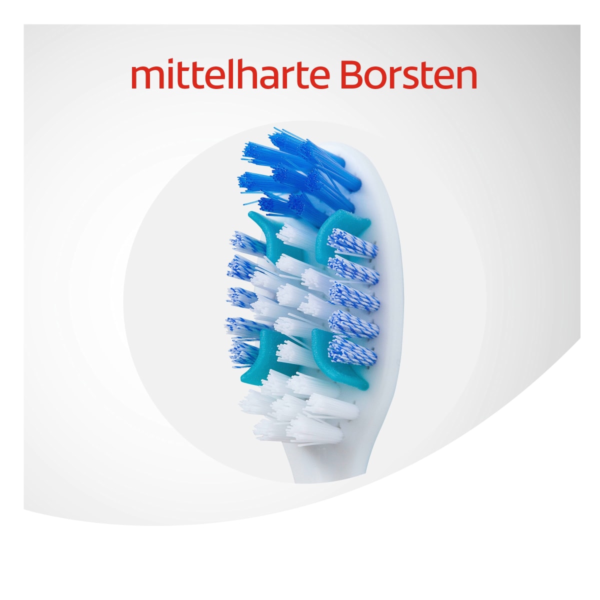 Zahnbürste Total Rundum-Reinigung mittel (1+1Gratis), 2 St
