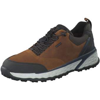 Geox Sneaker in braun