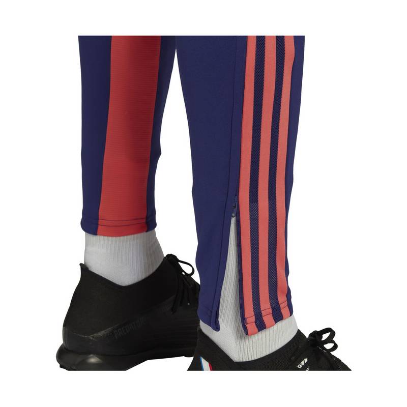 adidas Condivo Predator Trainingshose Trainingshose Herren