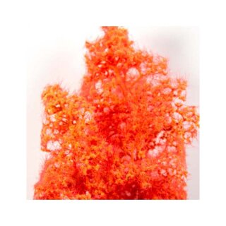 AK Fantasy Bushes: Red-Orange