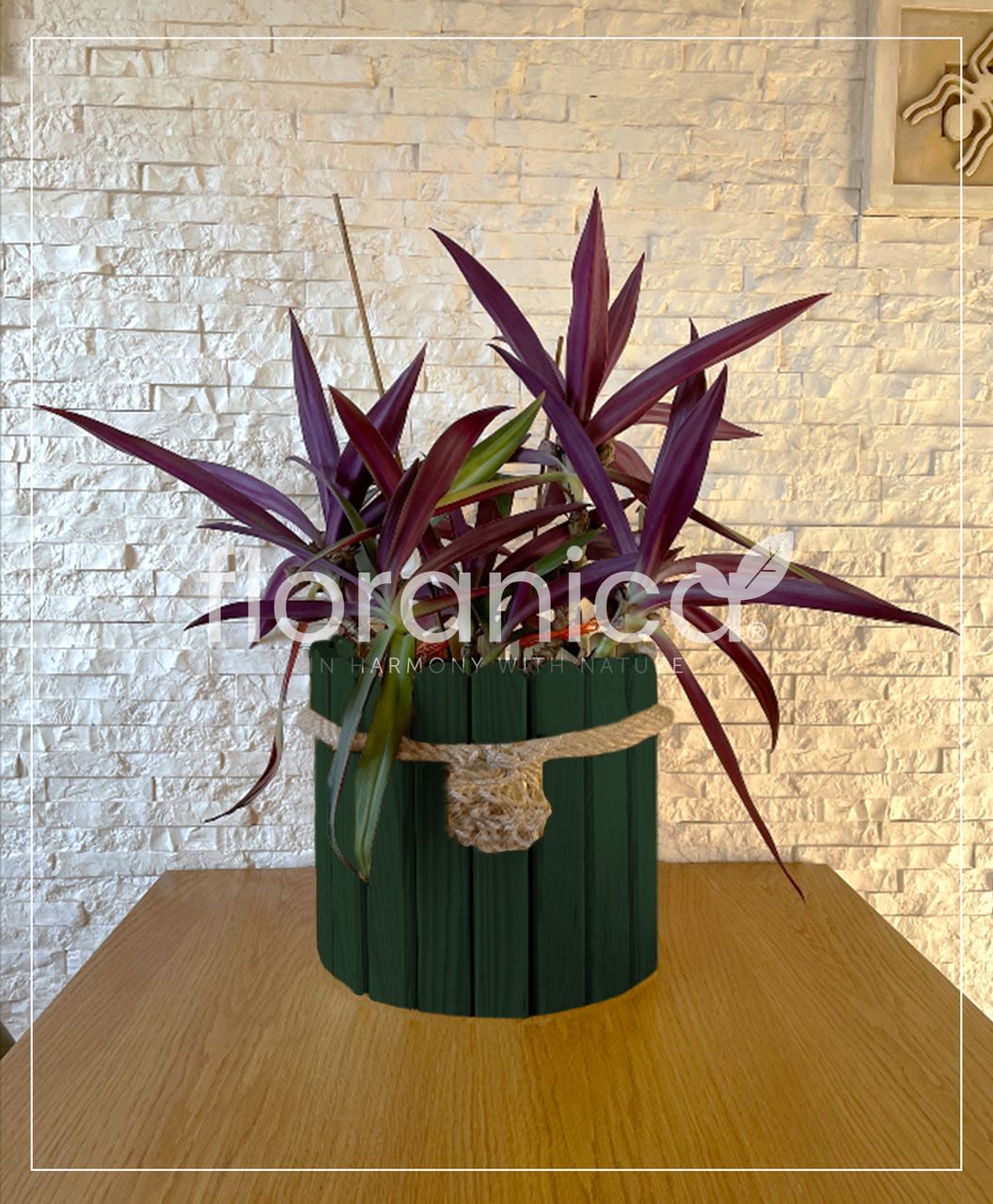 Pemicont Floranica Runder Blumentopf aus Holz 33x20cm Grün Imprägnierte Kiefer Schutzhülle für Kräuter Blumen Haus- und Gartendekoration Truhe Innen- und Außeneinsatz EU-Produkt