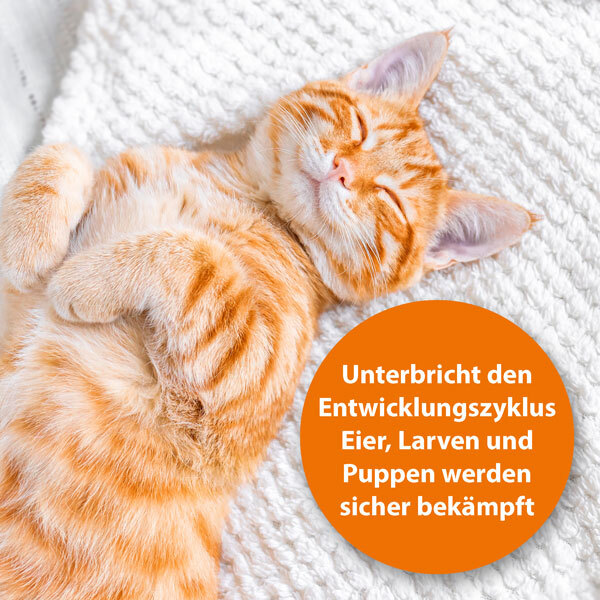 Ardap Zubehör Ardap Langzeit Flohspray für die Umgebung 500ml