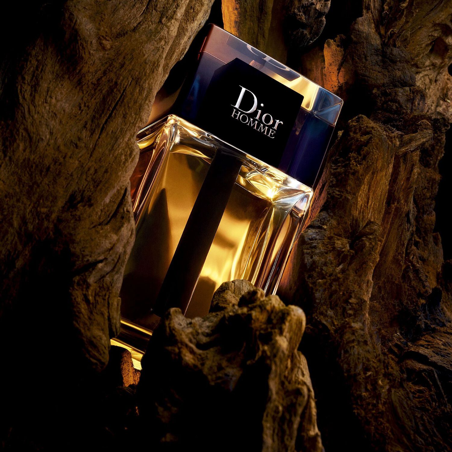 Dior Dior Homme Eau de Toilette