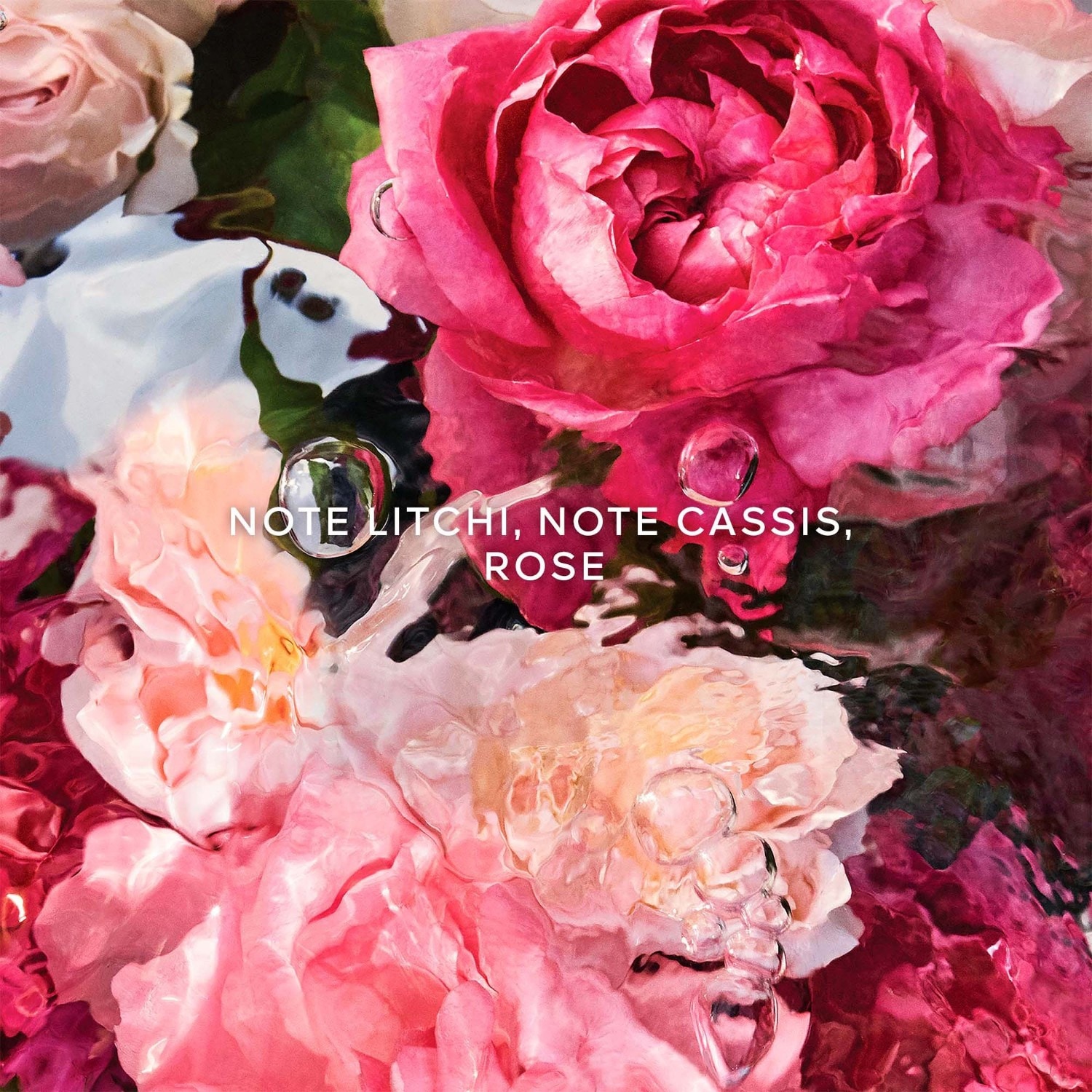 Guerlain Rosa Rossa