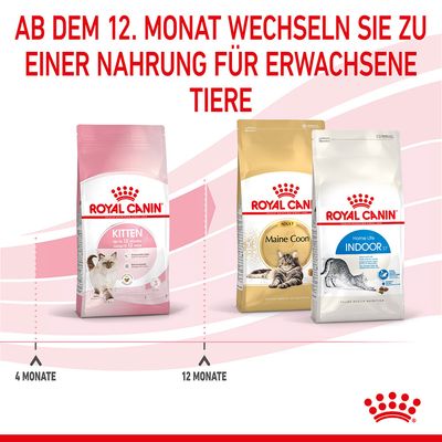 Royal Canin Kitten