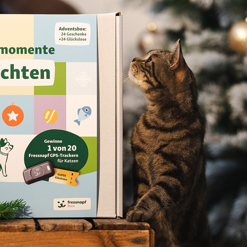 Fressnapf Nassfutter Fressnapf Adventskalender Katze