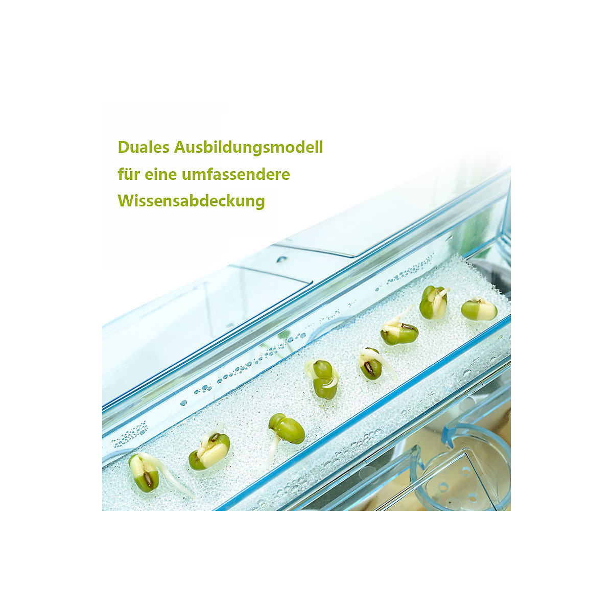 Kinder Gartenarbeit Spielzeug Wissenschaft Experiment Topfpflanze Handwerk Mini Spielhaus Spielzeug Puppenhaus Gemüsegarten Set