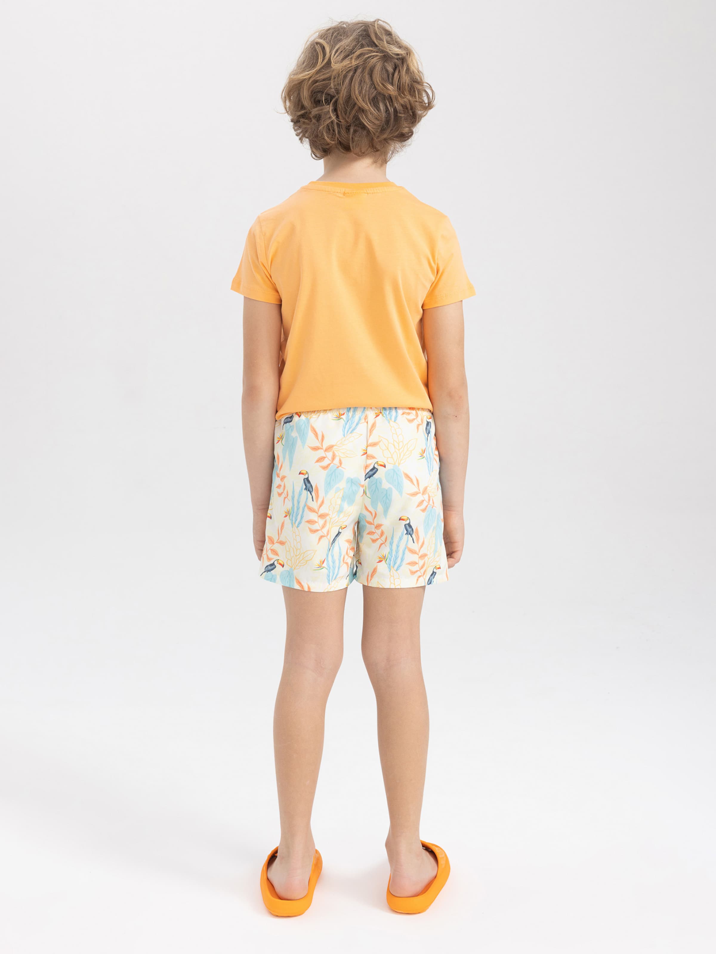 Board Shorts
