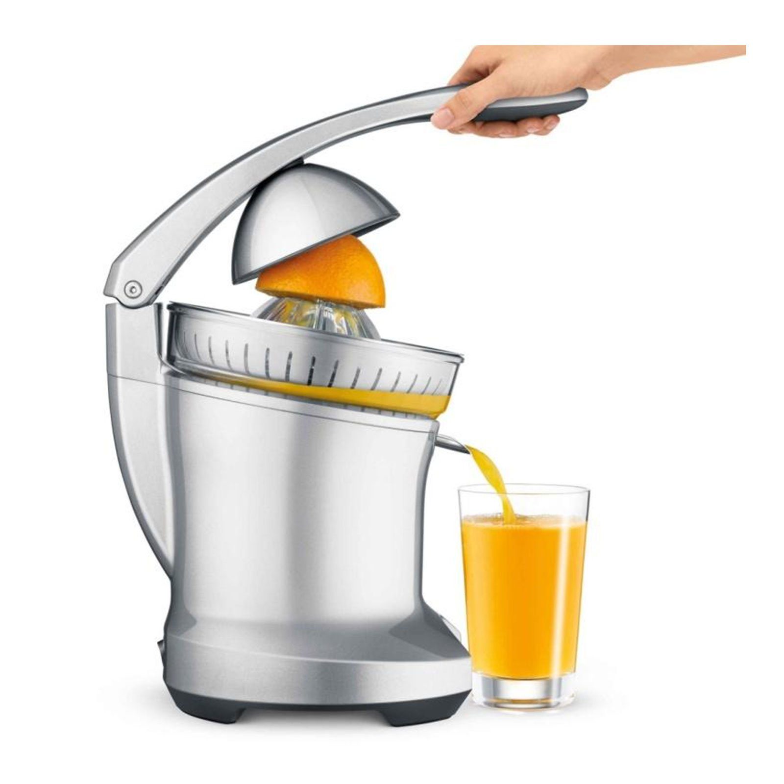 Sage Zitruspresse the Citrus Press, 110 W