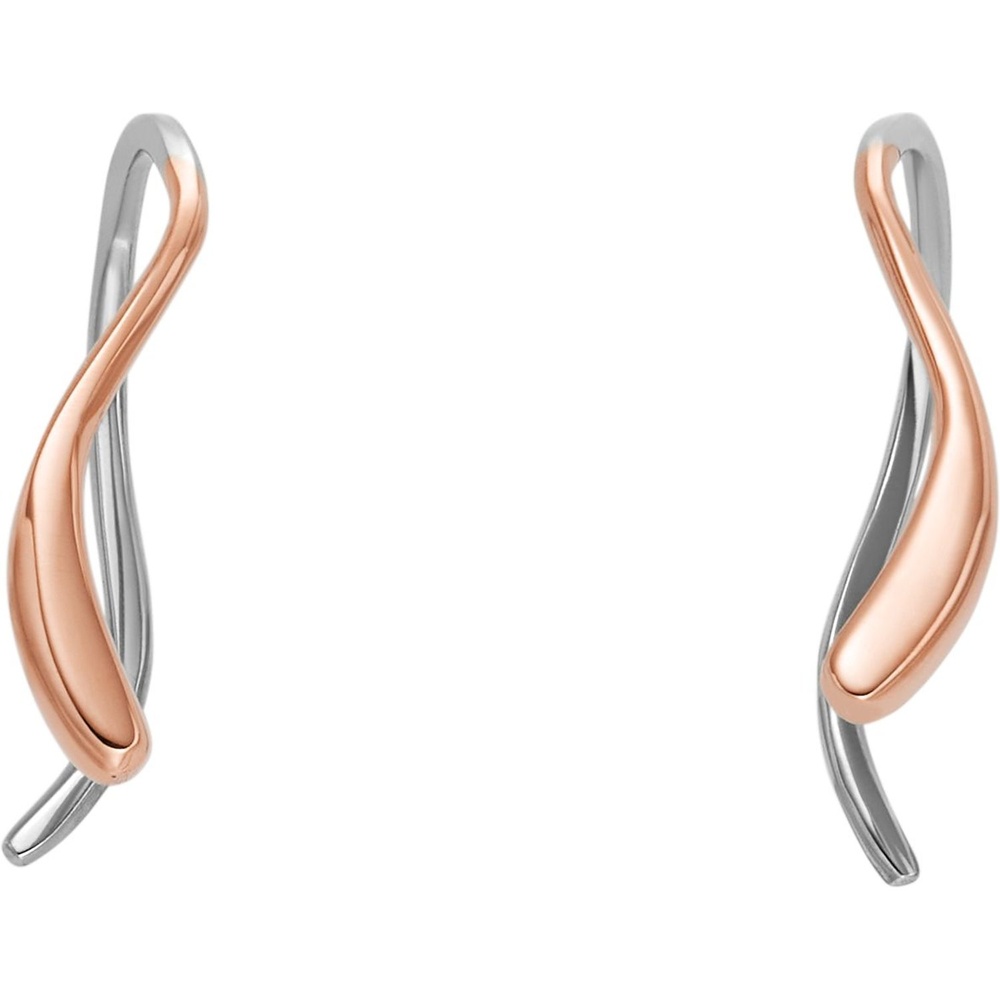 Skagen Boucles d'oreilles à fermoir à poussette Acier inoxydable Boucles d'oreilles