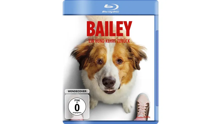 Bailey - Ein Hund kehrt zurück