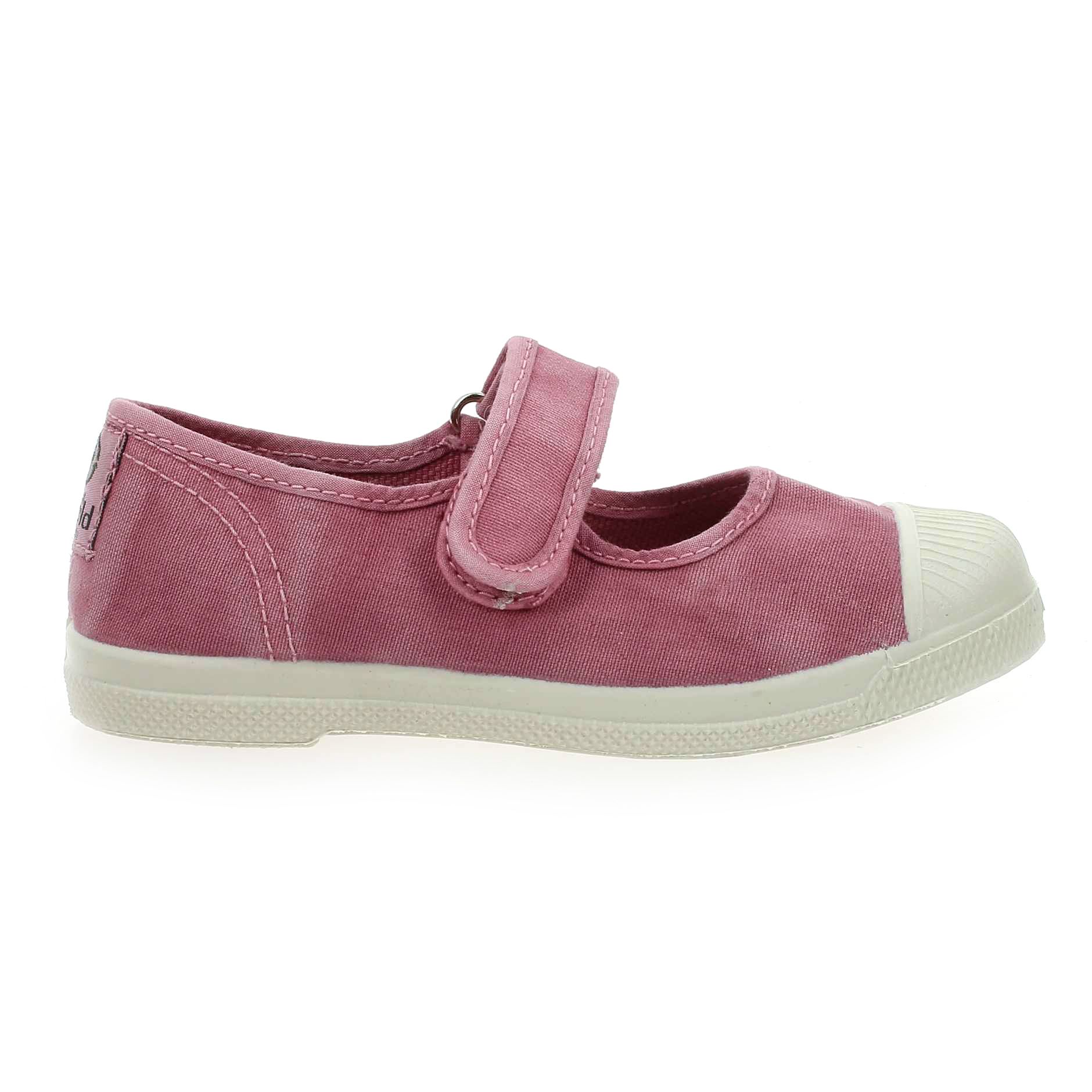 Natural world  476 E - Rose