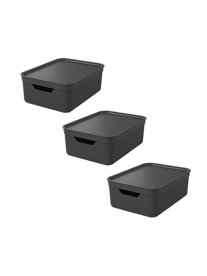 Rotho 3er Set Aufbewahrungsbox mit Deckel 10L JIVE in Holzkohle schwarz ged. günstig kaufen onesize
