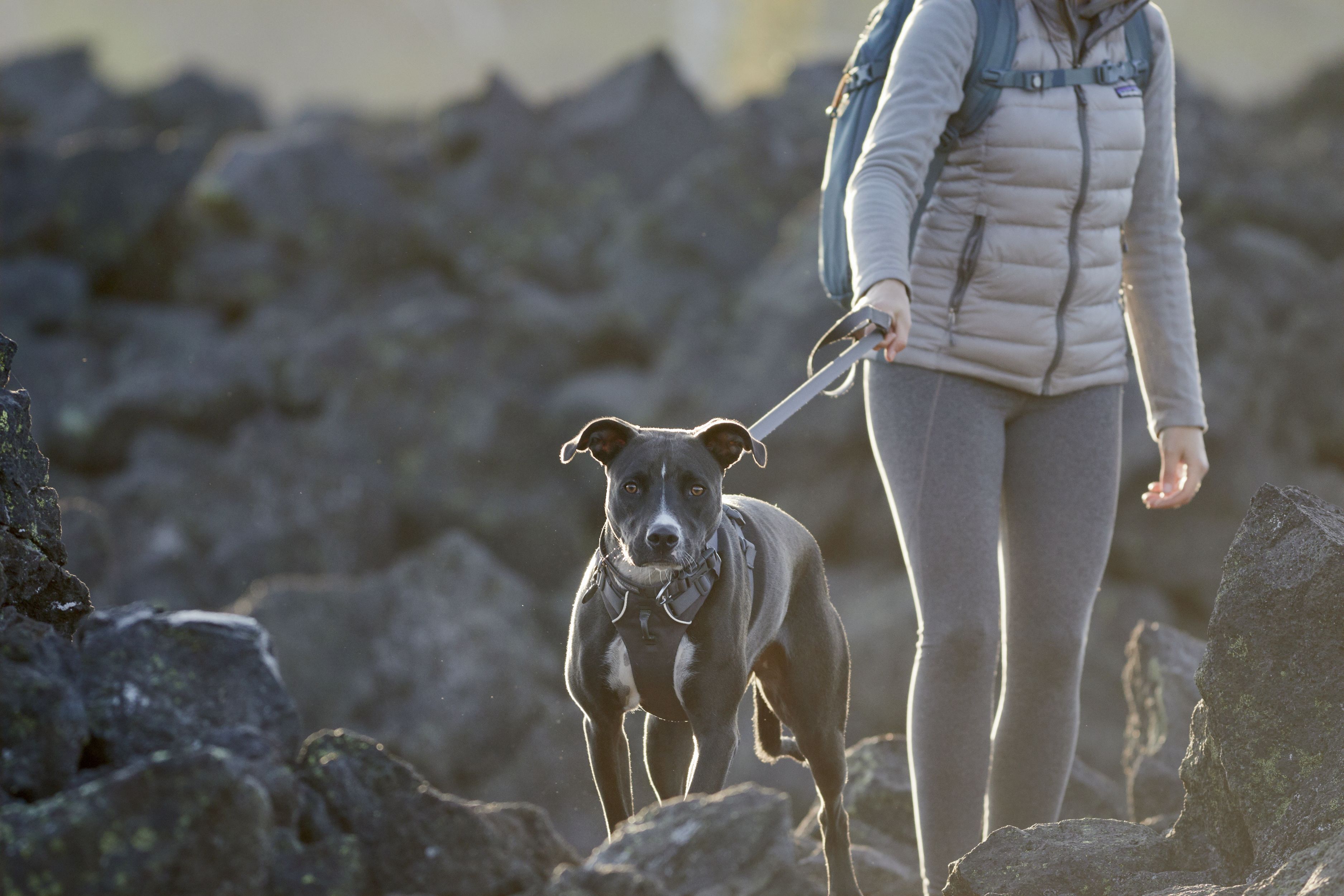 Ruffwear Hundegeschirre Ruffwear Front Range™ Geschirr grau XXS