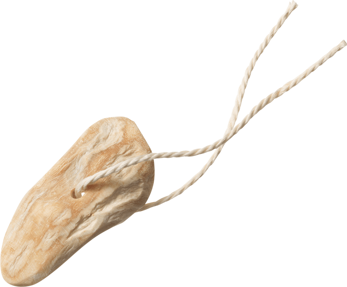 Veilchenwurzel mit Kordel natur, 1 St