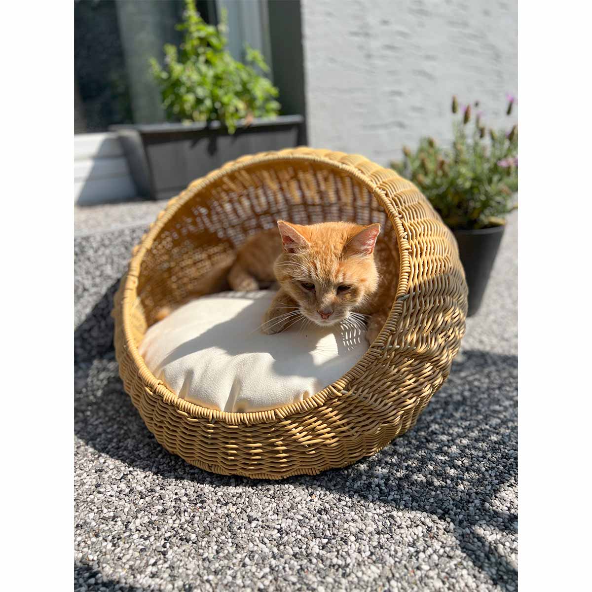 Aumüller Korbmuschel mit Kissen, oval günstig kaufen