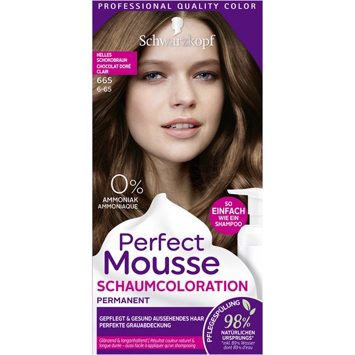 Perfect Mousse Schaum-Coloration