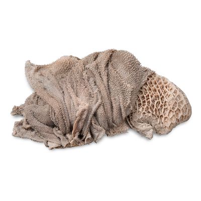 proCani Blättermagen / Pansen grün