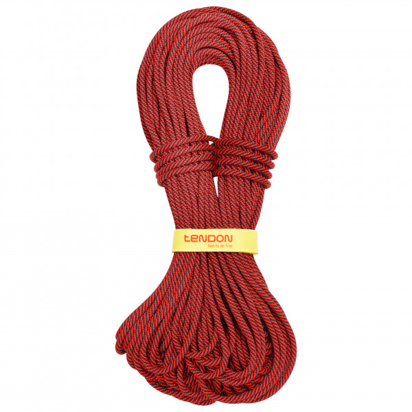 Tendon - Master 78 mm Shield - Halbseil