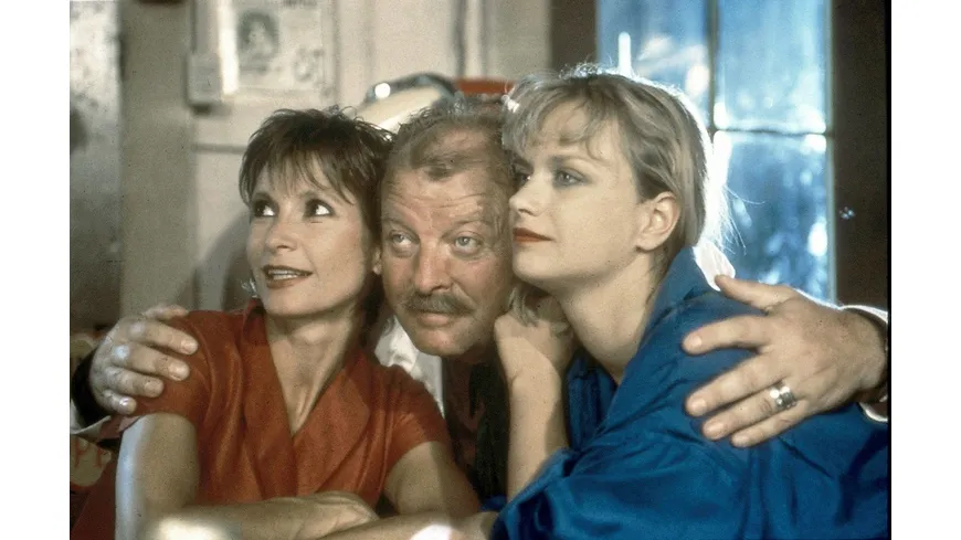 Das kalifornische Quartett - Die komplette Miniserie (Fernsehjuwelen)  [2 DVDs]