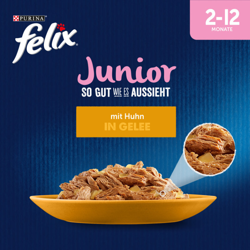 Felix Nassfutter Felix So gut wie es aussieht Junior 26x85 g