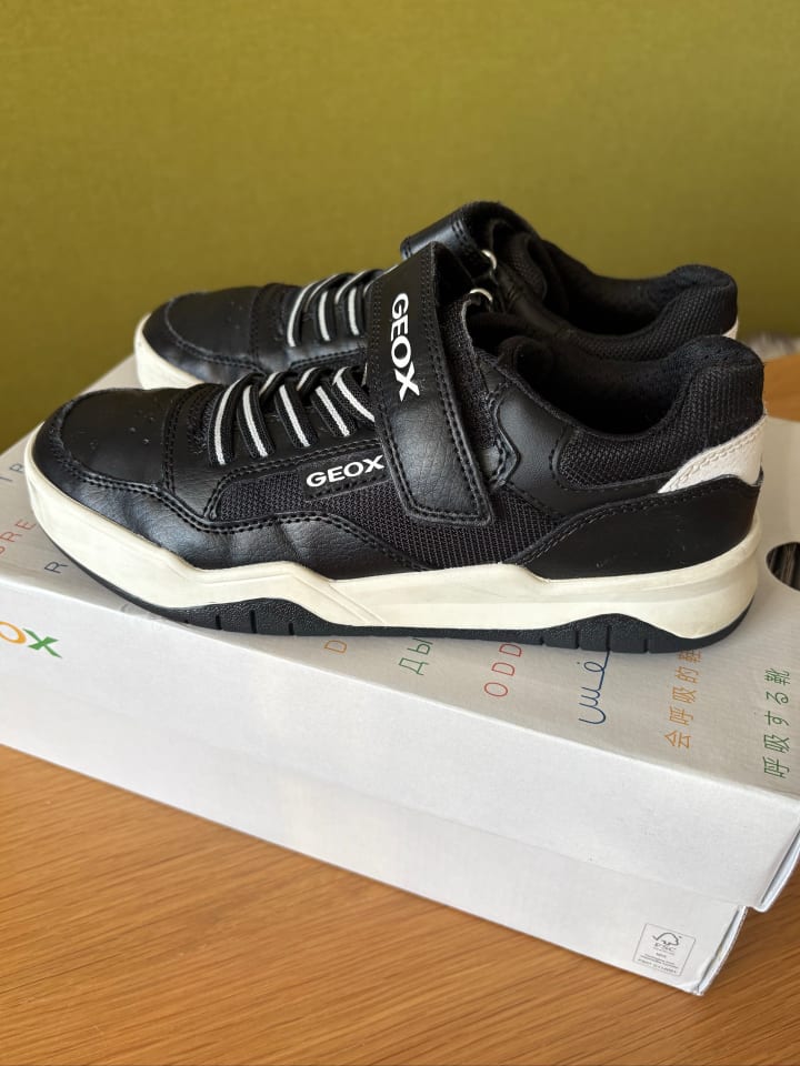 Geox Sneakers 