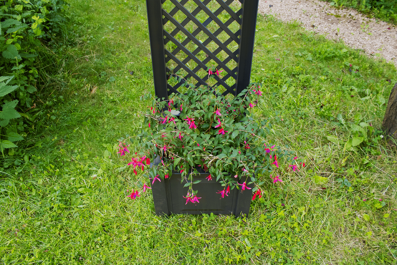 KHW KHW Pflanzkasten 43 cm mit Spalier, anthrazit
