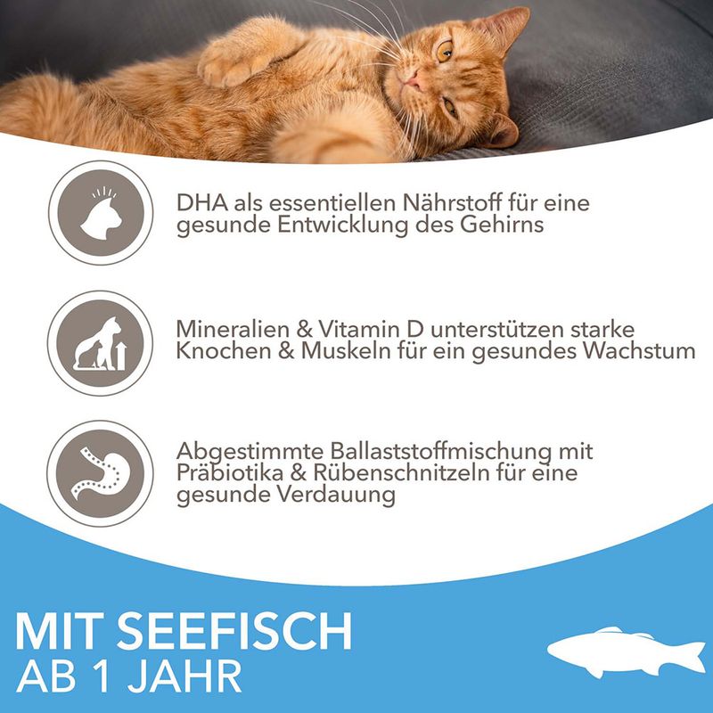IAMS Advanced Nutrition Adult Cat mit Seefisch