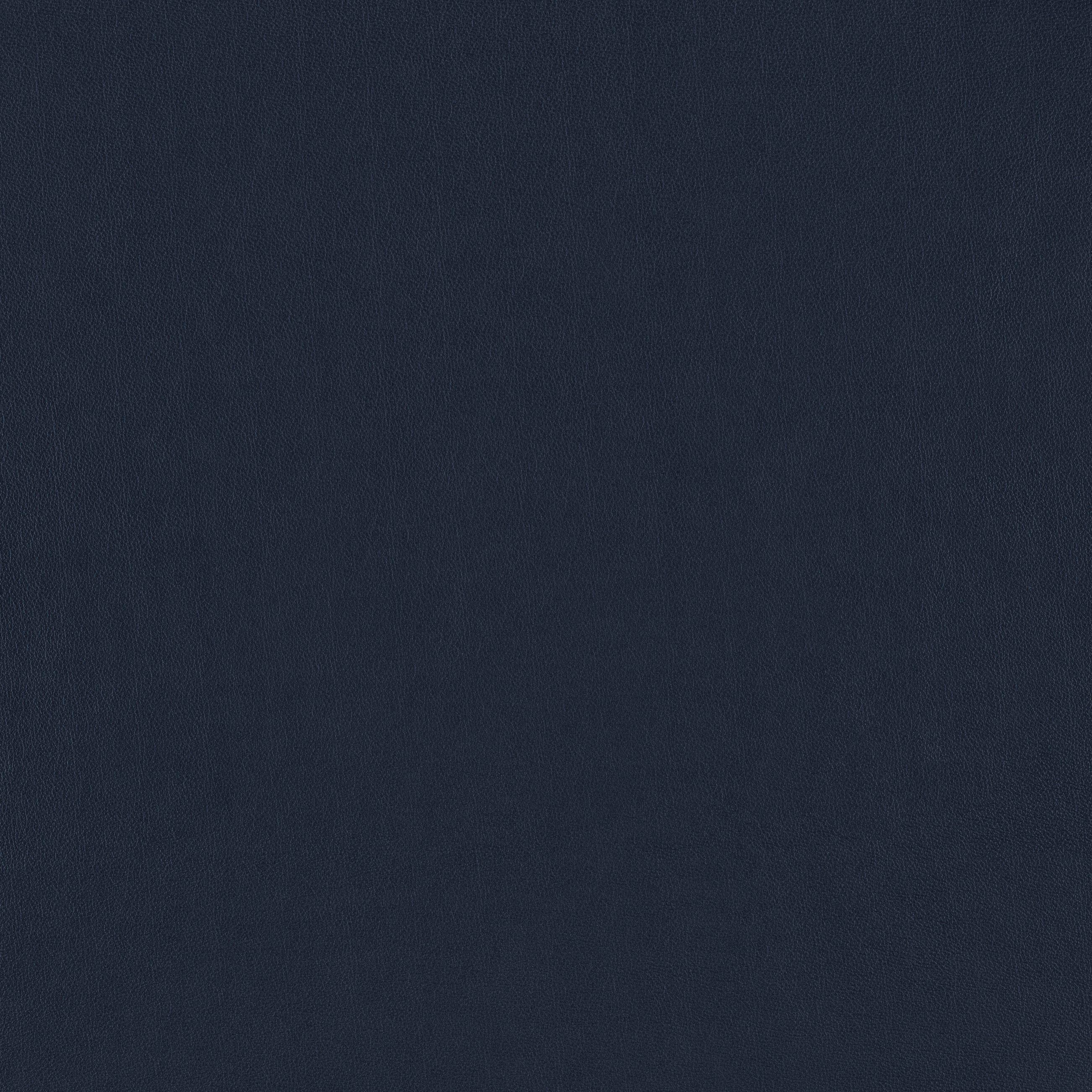 W.SCHILLIG Freischwinger ole (Set, 2 St), 2er- oder 4er-Set, Gestell in Schwarz pulverbeschichtet
