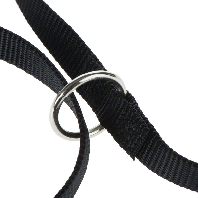 Hunde-Softgeschirr Feel Free + HUNTER Führleine Ecco Sport | bitiba