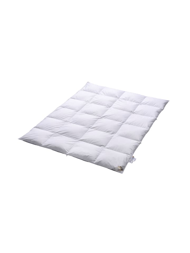 ARO ARTLÄNDER Daunendecke CARREE Comfort Leicht  günstig kaufen