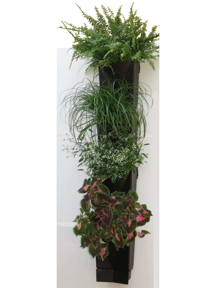 VCM  16x Wandgarten Hängegarten Blumentopf Blumenkasten in Schwarz günstig kaufen onesize