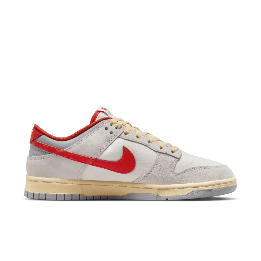 Nike Dunk Low FJ5429-133 / grau