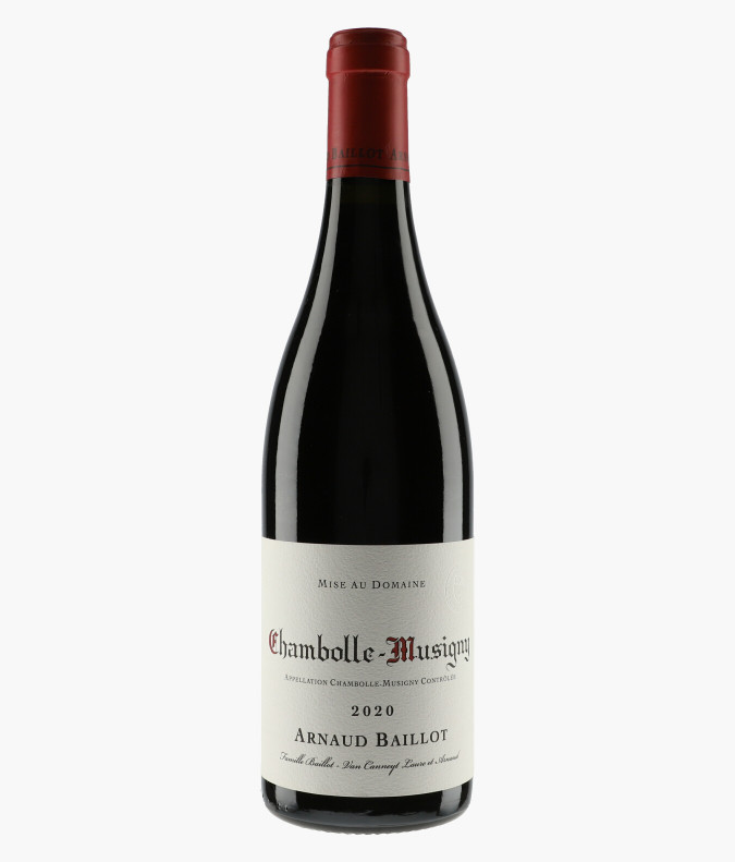 Chambolle-Musigny 2020BAILLOT ARNAUD