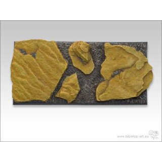Shaleground | 50x100mm Streitwagen (1)