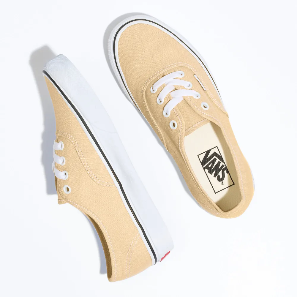 Vans Authentic Theory Color VN0A5KS9BLP / braun