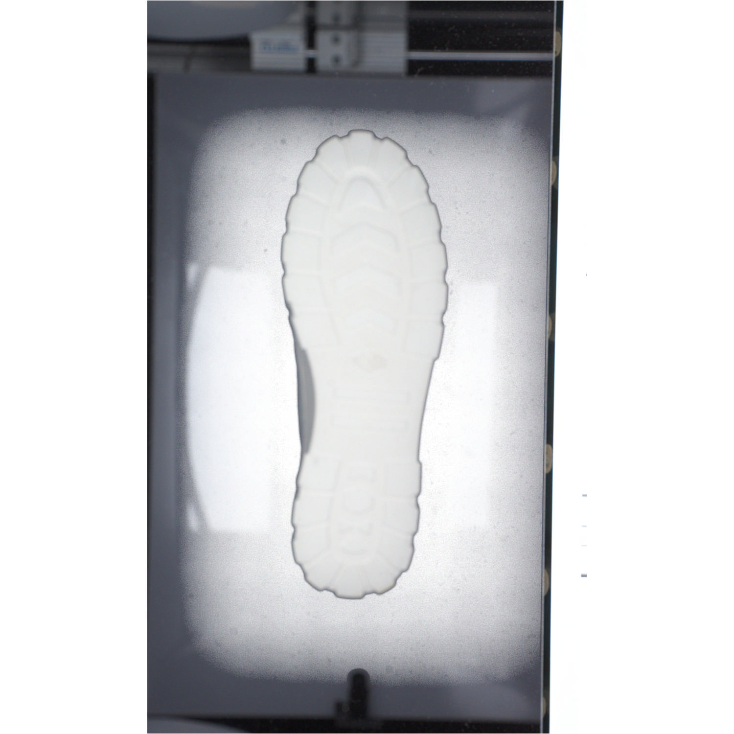 Palladium 98574, Schnürschuhe, Damen, star white