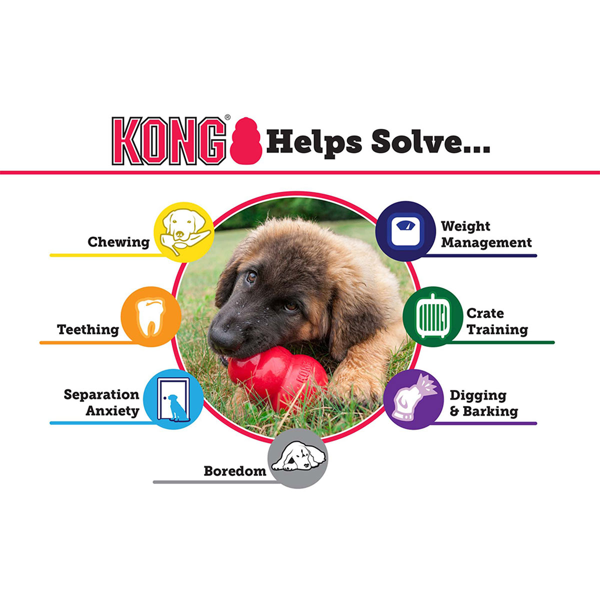 KONG Classic günstig kaufen bei ZooRoyal