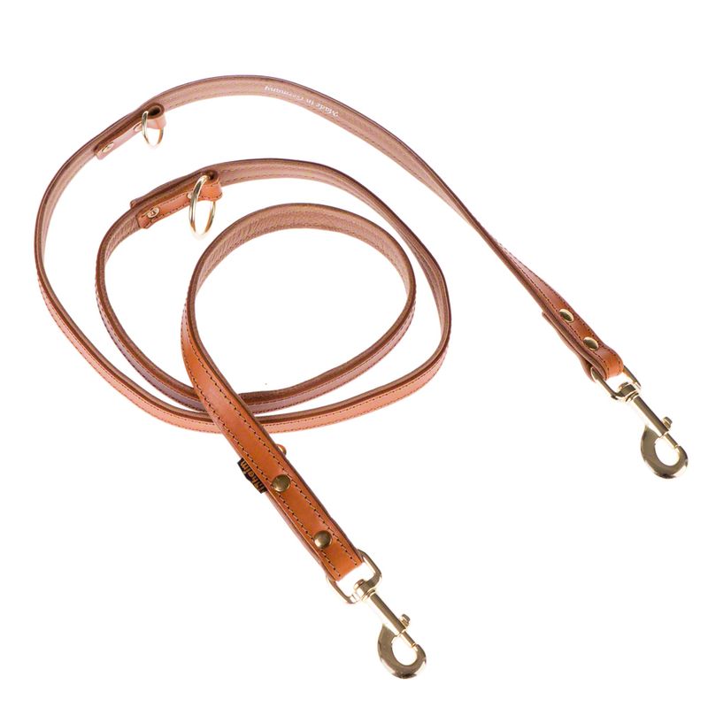 Sparset Heim Lederhalsband & Vorführleine Buffalo, cognac % bei bitiba.de