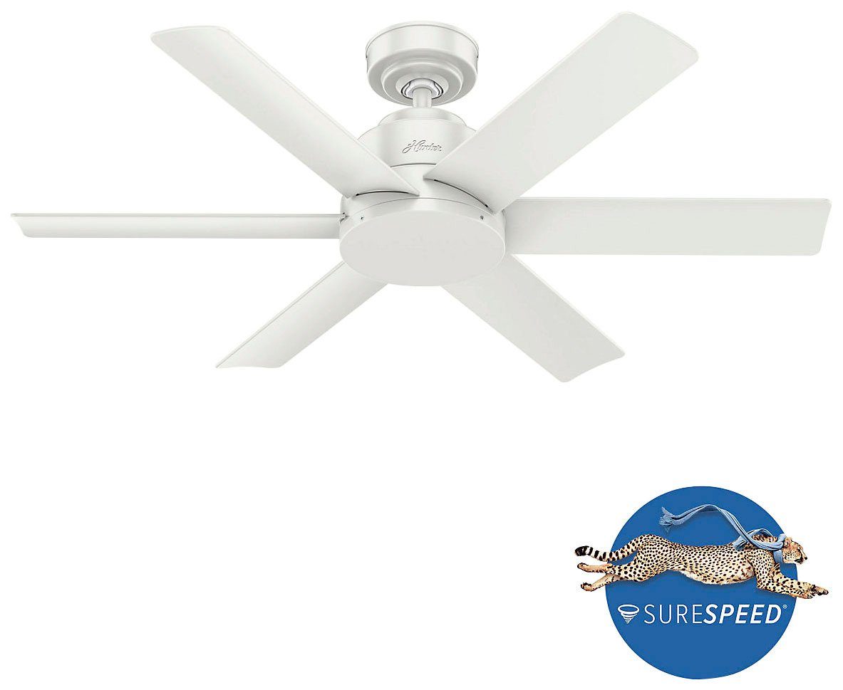 Hunter Deckenventilator Kennicott