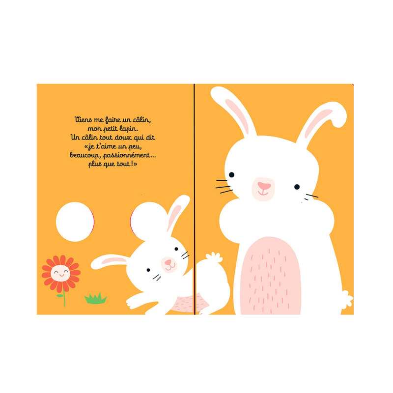 Livre Mon petit lapin câlin - Casterman