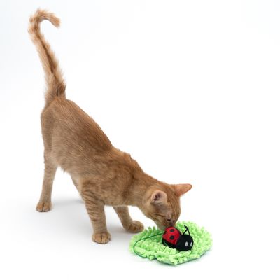 TIAKI Katzenspielzeug Marienkäfer