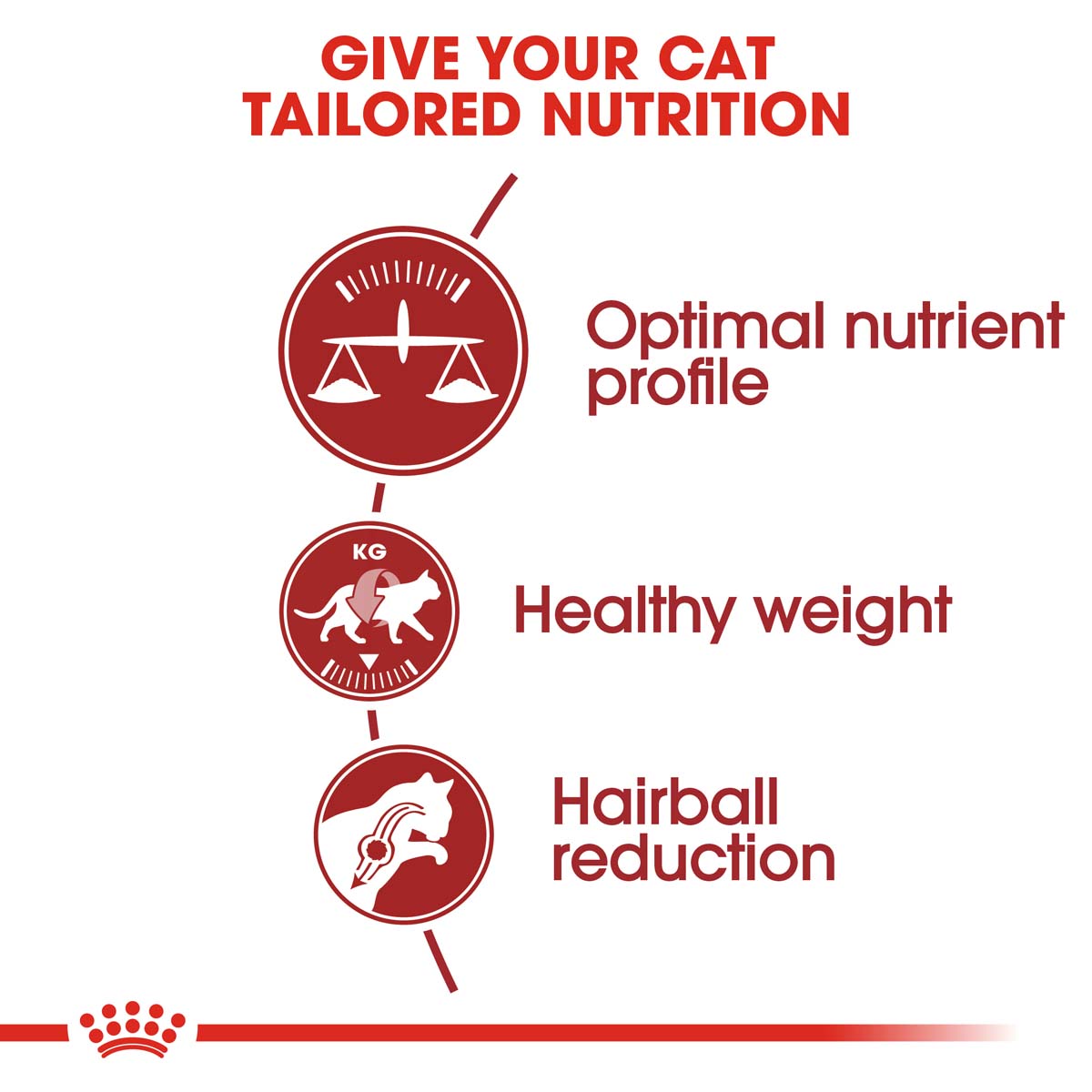ROYAL CANIN FIT Trockenfutter 10kg + INSTINCTIVE Nassfutter 48x85g