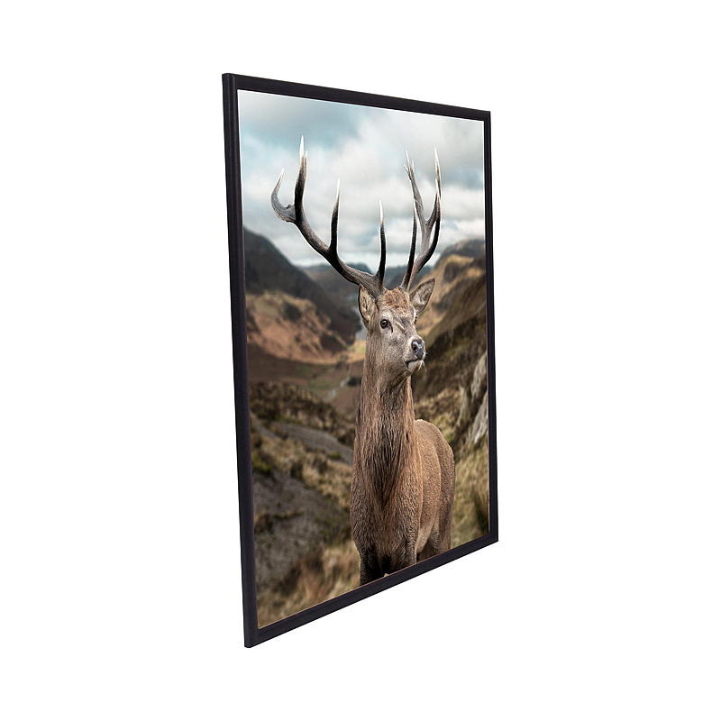 Home Ramme Siri 40 x 50 cm, sort