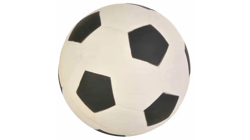 Trixie Moosgumi Ball ø 9 cm Hunde Spielzeug
