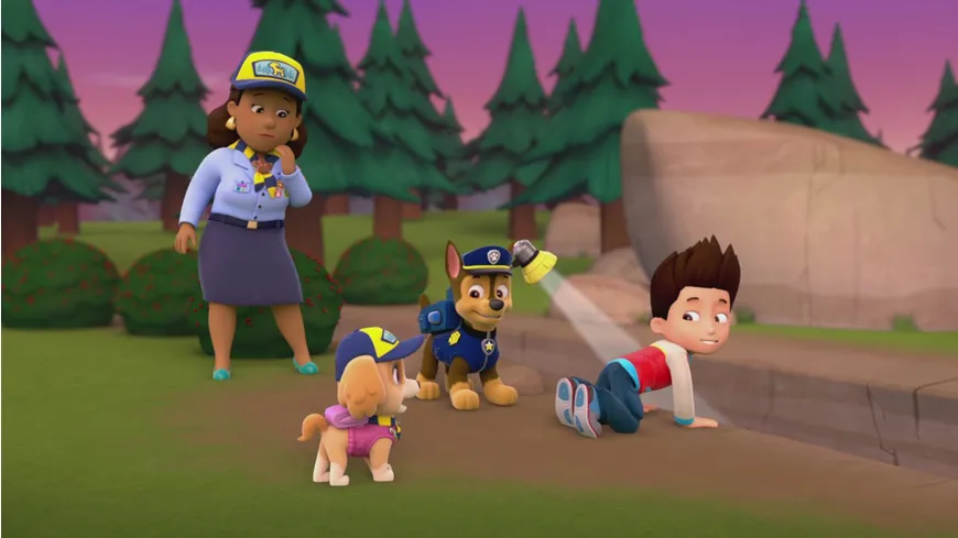 Paw Patrol: Sommer Einsatz